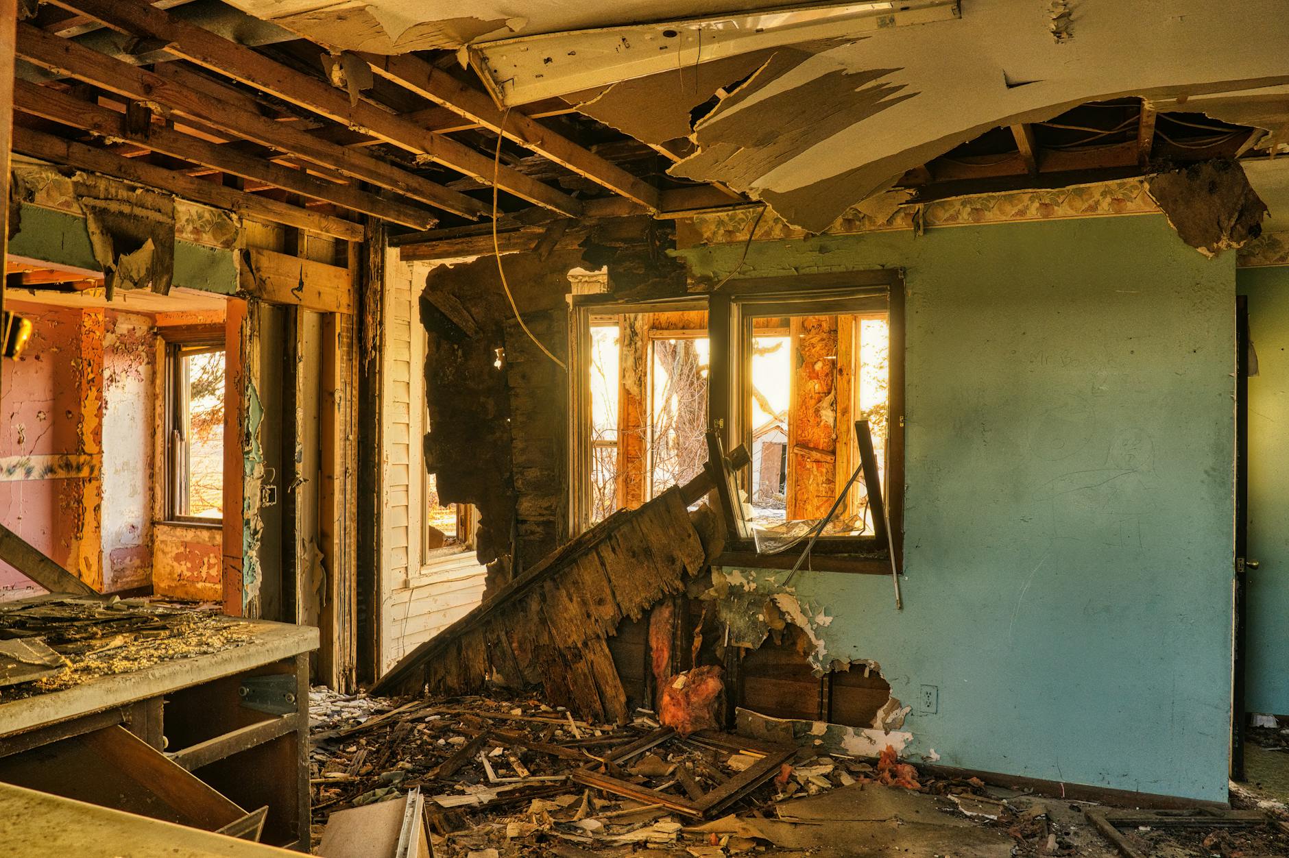 Leading Mold Removal Company In West Palm Beach, FL — West Palm Beach, FL